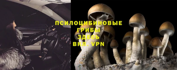 мдпв Белокуриха