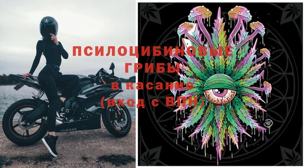 мдпв Белокуриха