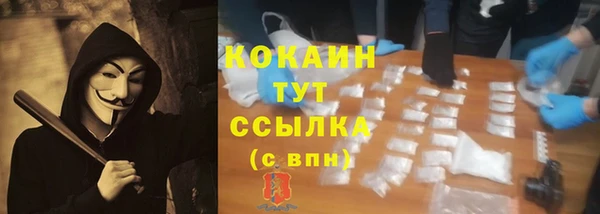 PSILOCYBIN Белоозёрский