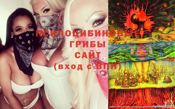 PSILOCYBIN Белоозёрский