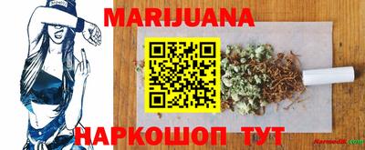 амф Кингисепп