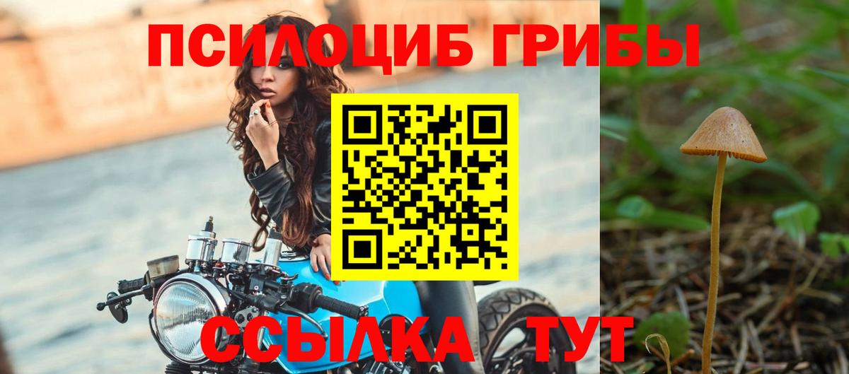 Псилоцибиновые грибы мицелий Верхний Уфалей