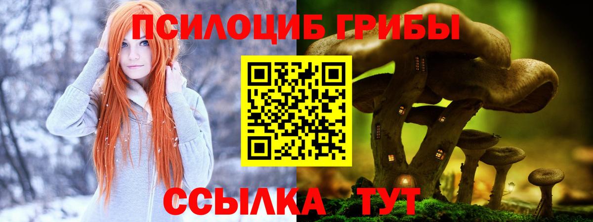 купить наркотики цена  Галлюциногенные грибы Cubensis  Вход с VPN  Верхний Уфалей 