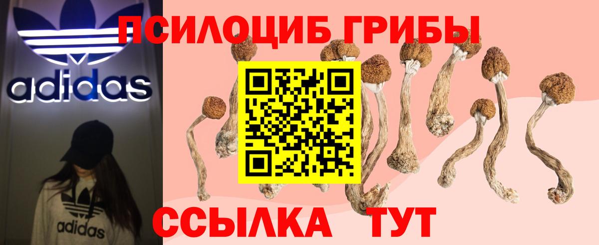 Галлюциногенные грибы мухоморы Верхний Уфалей